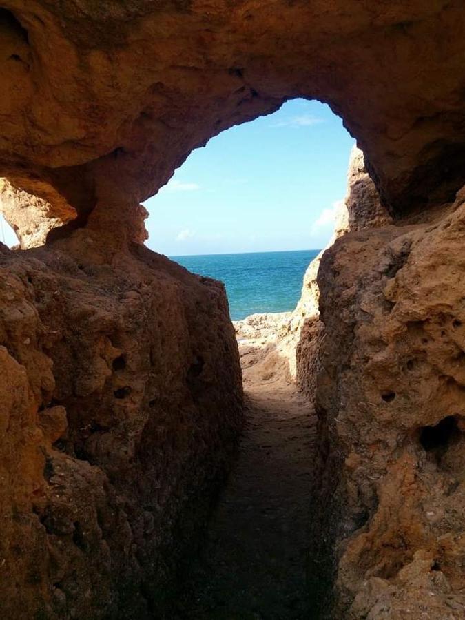 Al Algarve - Alojamento Local Com Excelente Localizacao Карвоейро Екстериор снимка