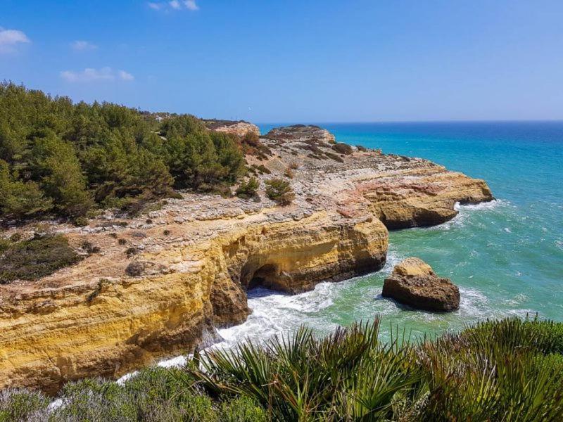 Al Algarve - Alojamento Local Com Excelente Localizacao Карвоейро Екстериор снимка